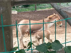 -青藏高原野生动物园