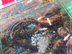 -金海湾海鲜排档(朱家尖店)