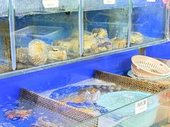 -张树军海鲜(王府壹号店)