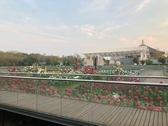 -奥斯卡新都汇影城(终级银幕)