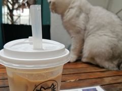 -喵屿·大理花园猫咖