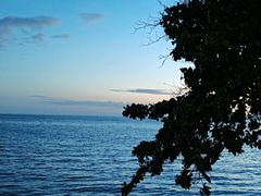 -卷心菜和避孕套餐厅(Pattaya)