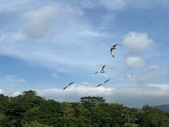 -深圳野生动物园