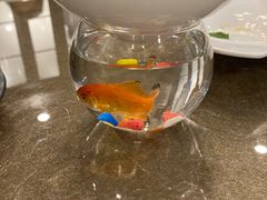 -徐记私厨(半淞园路店)