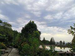 -铁山坪森林公园