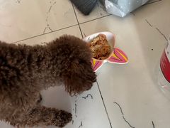 -南城香·饭香串香馄饨香(青年路店)