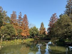 -杭州花家山庄