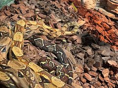 -石家庄市动物园