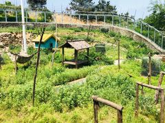 -青岛森林野生动物世界