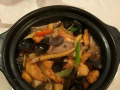 -金蝉食府(维吉奥广场店)
