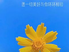 -巡茶(星海广场店)