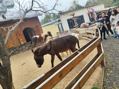 -HERRE·FARM 赫尔露营农场·团建聚会包场