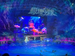 -海合安武汉极地海洋公园