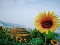 -石潭村