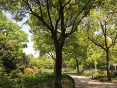-共青国家森林公园-售票处