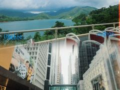 -Big Bus Tours 敞篷观光巴士