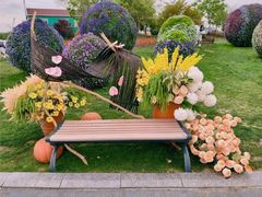 -荷兰花海