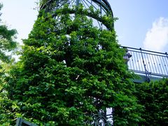 -三鹰之森吉卜力美术馆