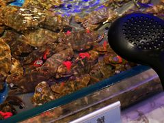 -澜悦港海鲜体验主题餐厅