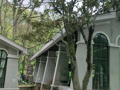 -WeLope紫金山探险公园