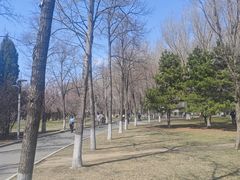 -长春公园(普阳街道)