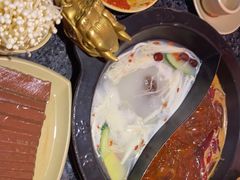 -蜀大侠火锅(森兰花园城店)