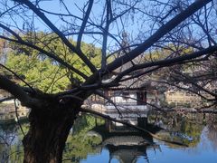 -西园戒幢律寺