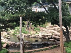 -大连森林动物园