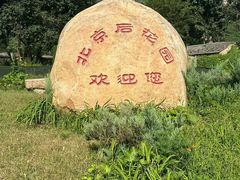 -北京凤凰岭