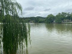 -喜碧海鲜·二十年本土海鲜老字号(上排店)
