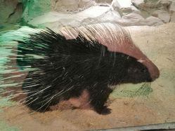 -酷嗒动物文化乐园(cutezoo西溪乐天城店)