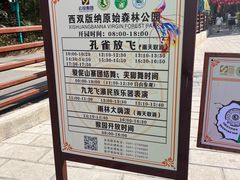 -西双版纳原始森林公园