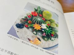 -猫里有甜