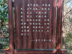 -句容茅山景区
