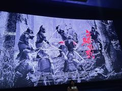 -飞扬影城(正佳IMAX店)