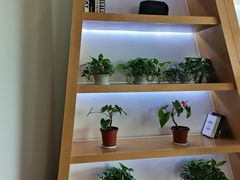 -帝豪斯健身俱乐部(市府恒隆广场店)