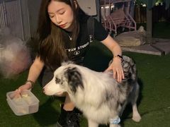 -浣熊柯尔鸭土拨鼠·电玩咖