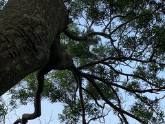 -海口火山口国家地质公园
