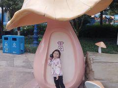 -南湖梦幻岛