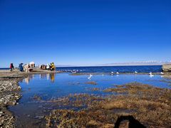 -青海湖国家重点风景名胜区