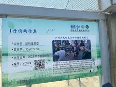 -盐城丹顶鹤湿地生态旅游区