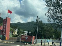 -横道河子东北虎林园
