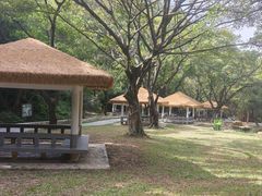 -大雁山风景区