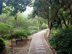 -白马涧龙池景区