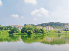 -仙湖旅游度假区
