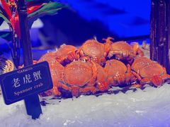 -加餐海鲜自助(宝龙一城店)