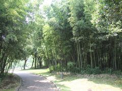 -上海佘山世茂艾美酒店