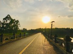 -三圣花乡旅游区