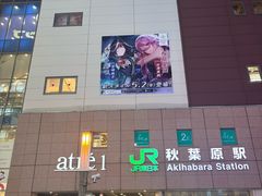 -秋叶原电器街