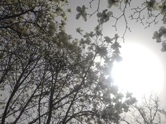 -睦南公园